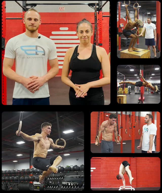 The Movement Athlete coaching team — coaches and members training on rings, bars and handstands